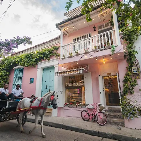 Hotel Casa Hadasa *